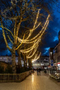 Led verlichting in boom