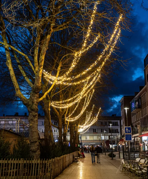Led verlichting in boom