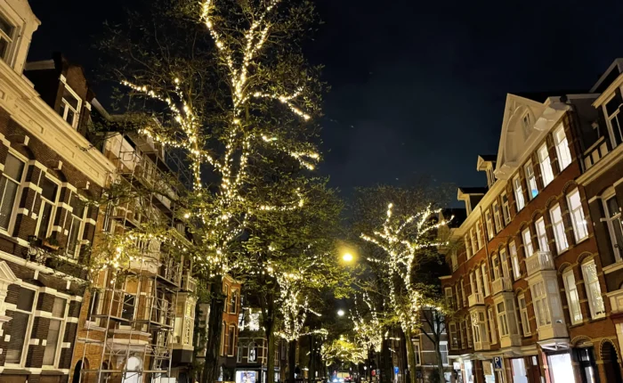 professionele buitenverlichting bomen kerst