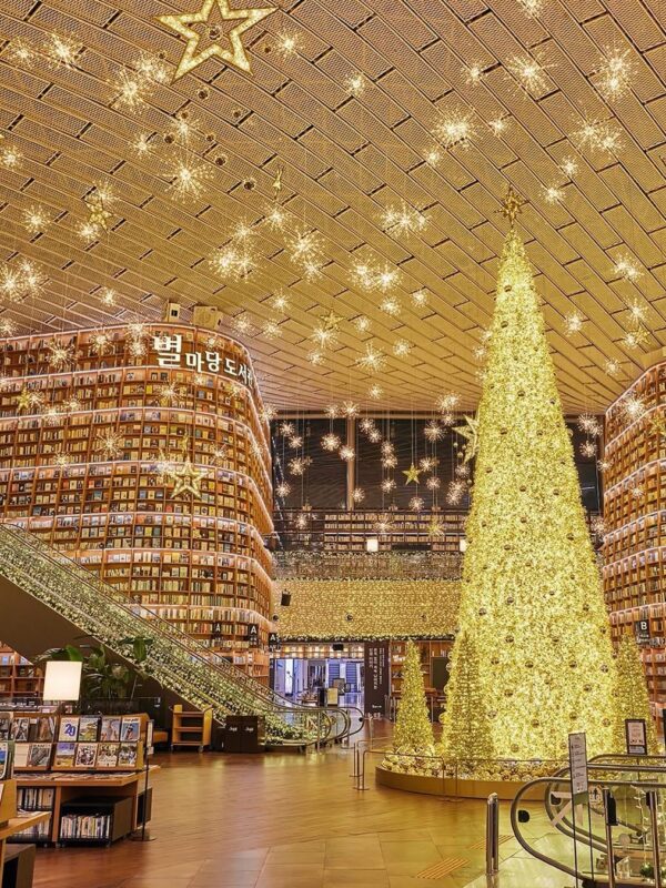 Kerstboomverlichting buiten