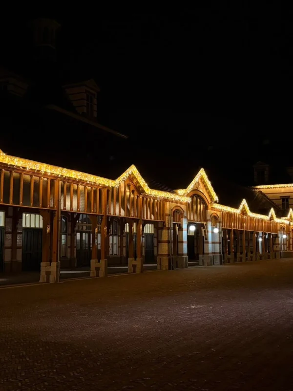 Professionele kerstverlichting dak paleis het loo