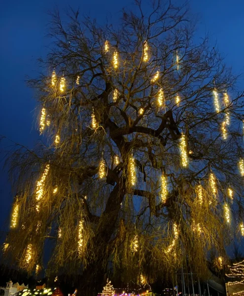 Boomverlichting led stroken