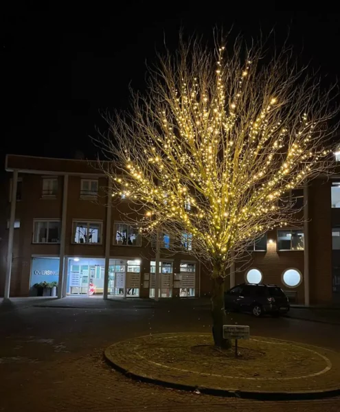 kerstverlichting-buiten-boom