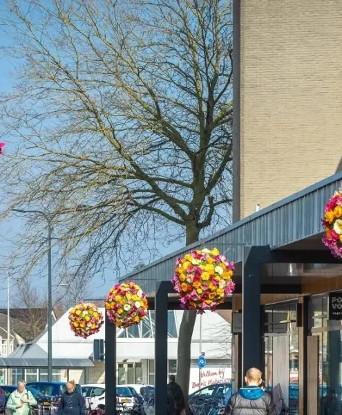Professionele bloembollen decoratie straat
